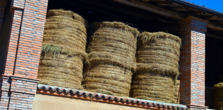 Agriturismo Casinetto – il  fienile