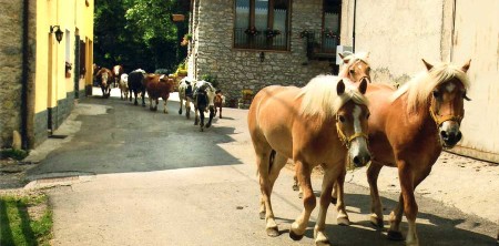Agriturismo… e dintorni
