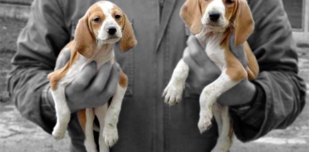 L’azienda agricola