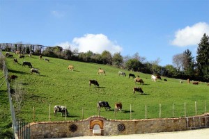 veduta-dall'agriturismo